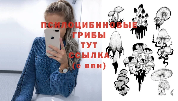 каннабис Алзамай