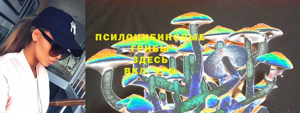 герыч Алексеевка