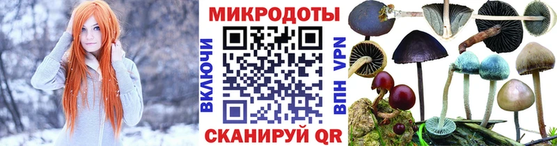 omg ТОР где купить Россошь Галлюциногенные грибы GOLDEN TEACHER